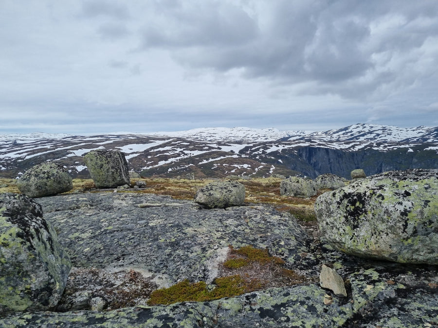hardangervidda nationaal park
