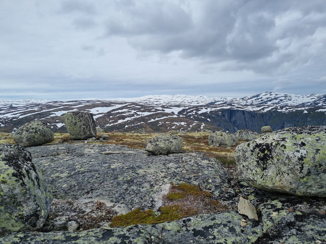 hardangervidda nationaal park