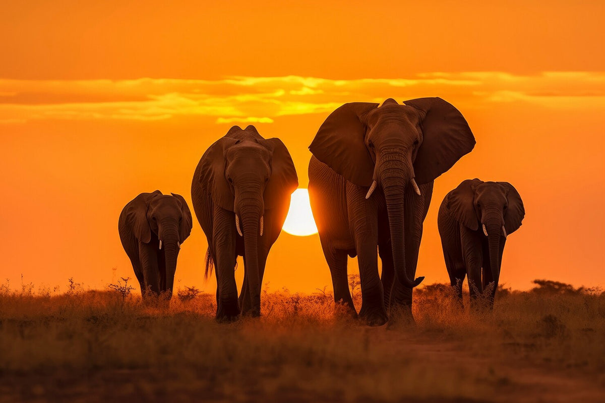 Vakanties in Zuid-Afrika