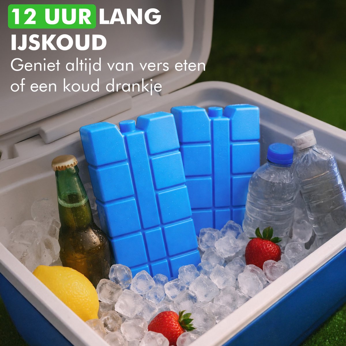 Blauwe koelelementen voor koeltas en lunchtas