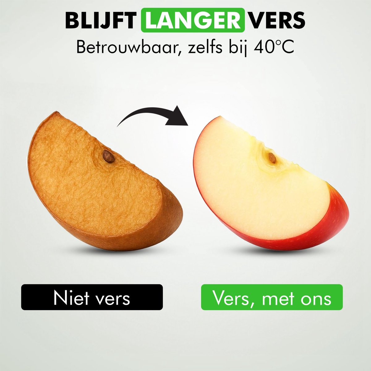 Compact koelblok voor lunchbox en koeltas
