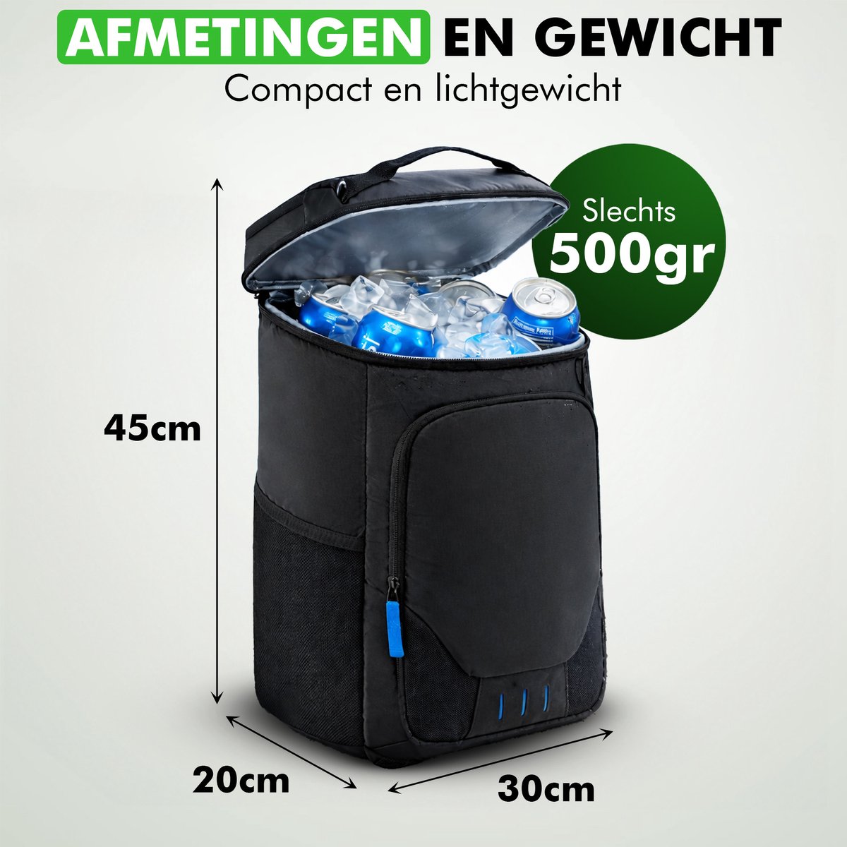 Zwarte koelrugzak voor picknick en reizen