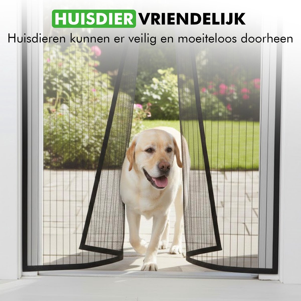 huisdier loopt door magnetisch vliegengordijn
